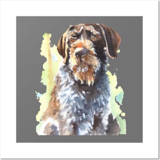 German Wirehaired Pointer Watercolor Painting Posters and Art